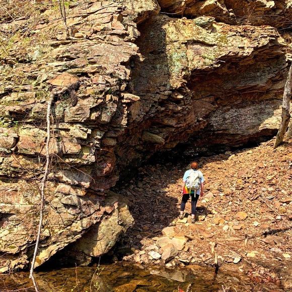 Meet your Posher, Lyn - Picture 1 of 1